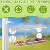 Large Window Bird House Window with 4 Suction Cups, Transparent