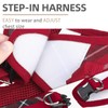 PUPTECK Adjustable Dog Harness Collar and Leash Set Step in