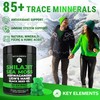 Organic Shilajit Gummies with Sea Moss Gummies - Shilajit Supplement