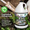 Nature's Freedom 45% Concentrated Vinegar, 1 Gallon - Dilutes to