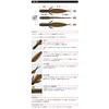 EVERGREEN Worm C-4 Reach 3.1" Crystal Shad #81 Lure