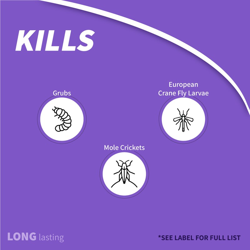 Bonide Products 603 Annual Grub Killer, 6-Pound