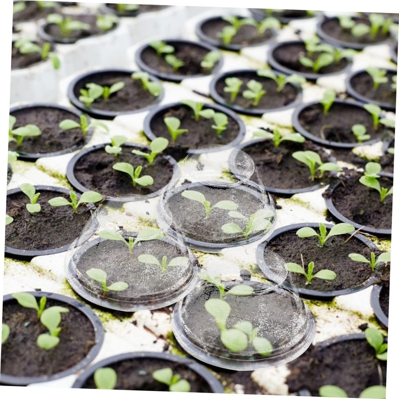 Mipcase 50Pcs Hydroponic Plants Insulation Covers Transparent Planting Covers for