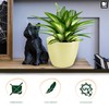 TULMERO Matte Flower Pot, Plastic Planter, Decorative Pot for Large