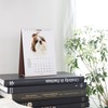 THE DOG Desktop Calendar 2026 [Golden Retriever]
