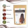 Naturel Anytime Henna Chestnut with Hibiscus | 100gm | check