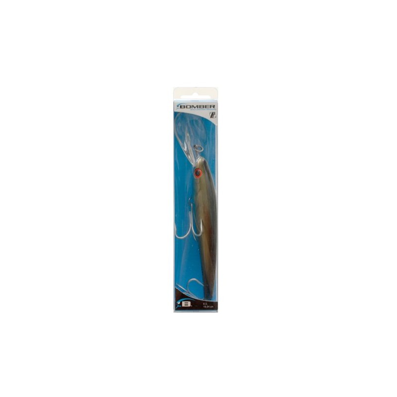 Williamson BSWCD25 Bomber Currican A-Salt CD