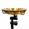 10" Bird Bath/Birdseed Feeding Tray with 3" Clamp Railing/Fence Mount