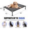 Simple Trending Elevated Dog Bed for Large Dogs, Waterproof Raised