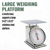 LEM Products 44 lb. Stainless Steel Scale, Silver