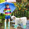 PETCUTE Dog Raincoat, Waterproof Pet Raincoat with Hood, Transparent, PVC,