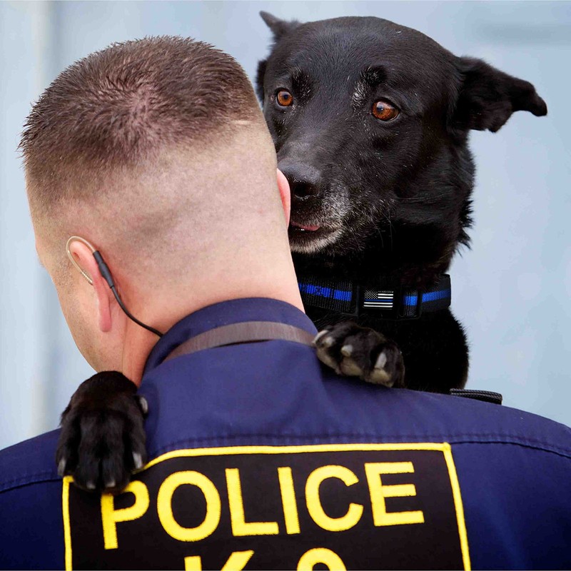 Dog Collar - Thin Blue Line (2 Styles Available)