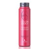 Lendan Shampoo Cs Protector Del Color Addict 300ml