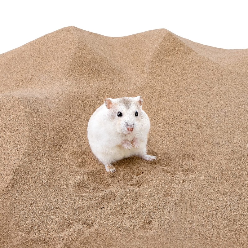 Niteangel Hamster Desert Bath Sand | No-Dust Bath or Potty