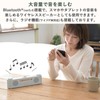 Yamazen YTR-D700(BG) Wireless Speaker, Hand Speakers for TVs, Continuous Use