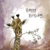 ALEX CLARK Happy Birthday Giraffe Card
