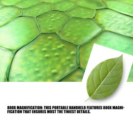 Microscopio de Bolsillo con Pantalla a Color de 2 Pulgadas, Cámara de Microscopio Digital de Mano 800X con Luz LED para Niños y Adultos, Microscopio USB para Plantas, Rocas, Sellos