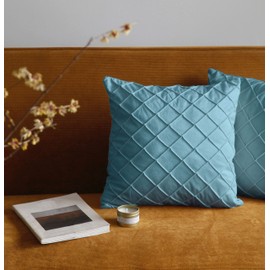 Pagnanno. Set of 2 Soft Velvet Cushion Covers 45x45cm(18x18 Inches) Squares Throw Pillowcases Cushion Covers for Chairs,living room,bedroom with Invisible Zipper (18"x18" (Pack of 2), Sky Blue)