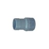 Lasco Insert Adapter 3/4 " X 1 " Pvc
