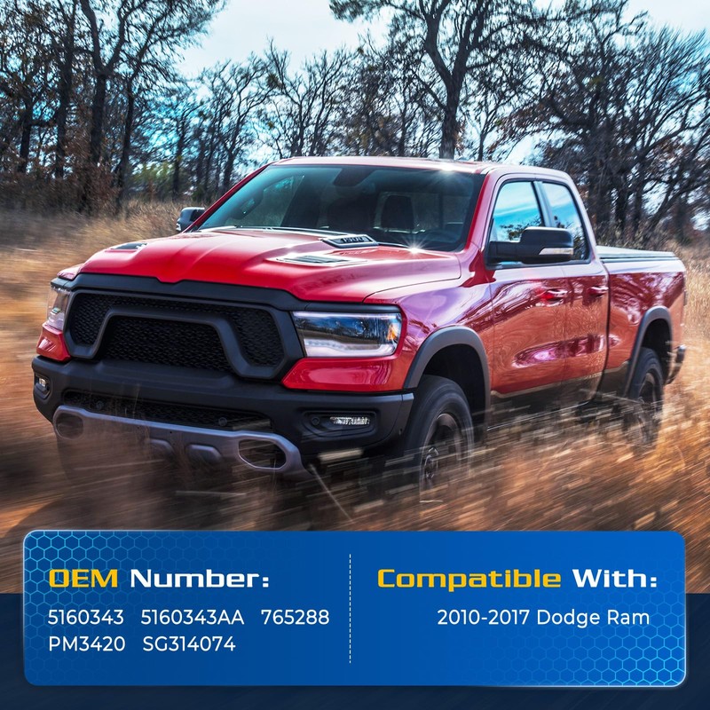 ARANA Hood Struts for Dodge Ram 1500 2009-2010, Engine Hood