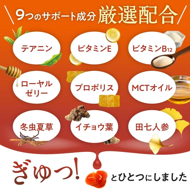 【獣医師監修】 うちの脳活サポート サプリメント 犬 猫 ペット 無添加 うちのかぞく （30粒/1袋）