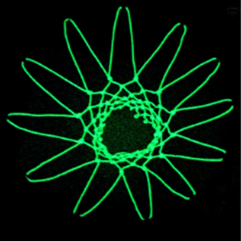 Loopunk Heavy Duty Glow-in-The-Dark Basketball Net, Luminous Self-Luminous Frame for