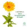 Tónico Facial Caléndula Regenerador Calmante Piel 120ml Todo Tipo De