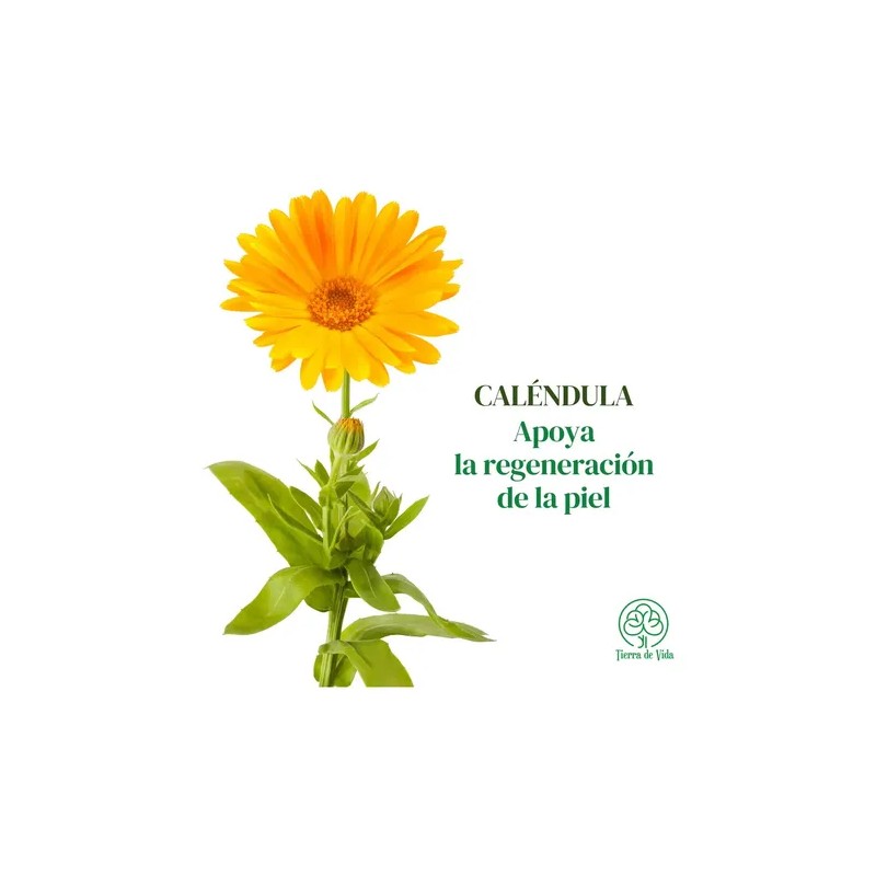 Tónico Facial Caléndula Regenerador Calmante Piel 120ml Todo Tipo De