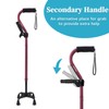 AOHHL Quad Walking Cane Foldable Adjustable Portable Stick Men &