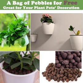 DEELF OUTLET 5 Packs 7.3”Wall Hanging Self WAtering Planters Large Wall Mounted Plastic Plant Pots Wick Flower Pots for Indoor and Outdoor Wall Mounted Planters African Violet Pot Orchid Pots