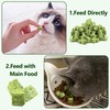 50g Cat Grass Teething Treat, Delicious Cat Grass Teething Snack