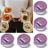 Harrison Garlic and Herb Sauce Dip– Pack of 50 Garlic