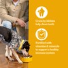 Pedigree Complete Nutrition Adult Dry Dog Food, Roasted Chicken &