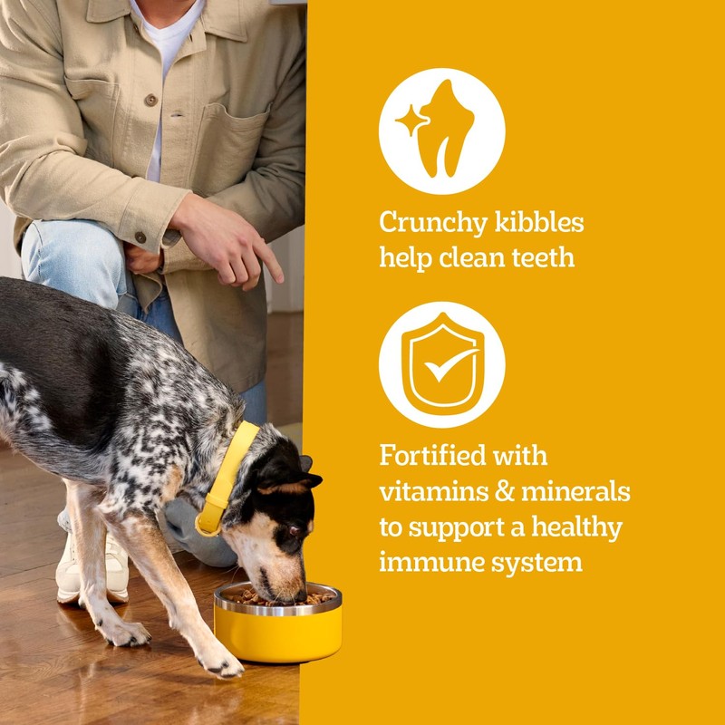Pedigree Complete Nutrition Adult Dry Dog Food, Roasted Chicken &