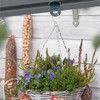 Pinsheng Pack of 50 Greenhouse Clips, Plastic Sturdy Plant Holders,
