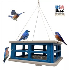 Amish Handmade BLUEBIRD CAGE FEEDER - Safe Secure Hanging Blue Bird Meal Worm Feeder Amish USA - Light Gray & Blue
