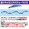 Duel Hardcore Heavy Minnow (S) Lure, 2.8 / 3.5 /