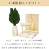 A&K Preserved Kojin Pine Holder Set with Torii (1 Piece),
