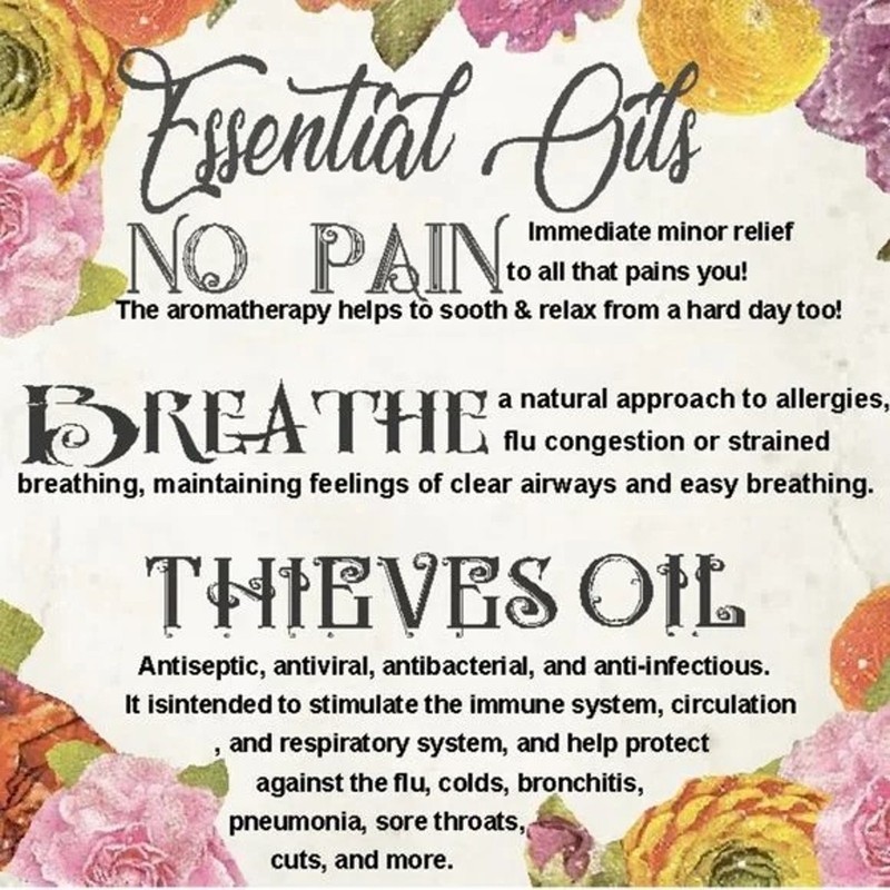 Raynetree 3 Must Have"Take Care" Essential Blends Roll Ons *No