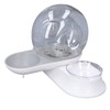 Pet Water Dispenser Food Feeder Cat Automatic Drinking Snail Shape