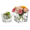 Square Glass Vase, Clear Glass Cube Makeup Brush Holder, Multi-Purpose