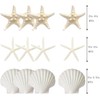 JQAQJU Starfish and Scallop Shells for Crafts 12PCS, Large Seashells