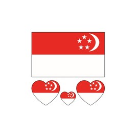 ZPDNURZL 10 Sheets Singapore Flag Tattoos Stickers 40 Pcs Waterproof Sweat Sports National Flag Removable Fake Tattoos