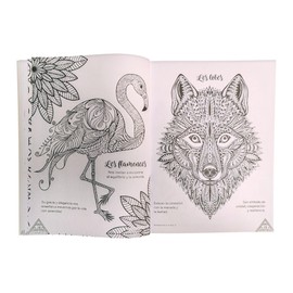 Dreams Art - Set de 4 Libros para Colorear Mandalas Relajación Vol. 2 - Editorial Dreams-Art | Libro de Mandalas para Adultos y Niños | Actividad Creativa para Relajación y Mindfulness