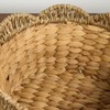 Isidore Water Hyacinth Storage Baskets, Round Woven Set of 3,