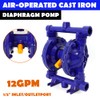 LOYALHEARTDY Air-Operated Double Diaphragm Pump Cast Iron Diaphragm Pump QBK-15L