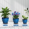 Ceramic Plant Pots With Saucer & Drainage Hole, 6 inch