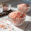 Morton Himalayan Pink Salt Set - Fine (17.6 oz) &