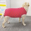 Kukaster Pet Dog Bodysuit After Surgery Castration Male Wound Protection