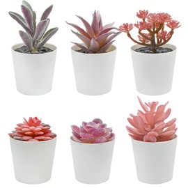 Bacucine Set of 6 Succulents Plants Artificial in Pots Desk Plant Fake Plants Faux Succulents for Bedroom Windowsill Shelf Office Home Decor (Purple Flocking)